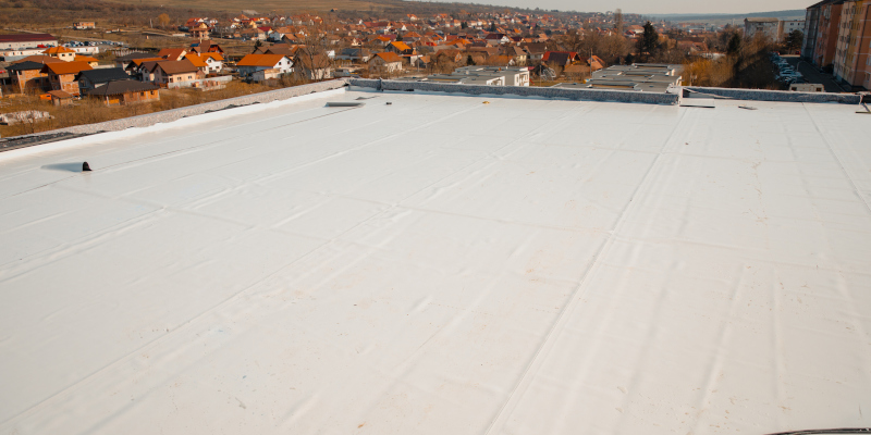 Commercial Roof Washing in Williamsburg, Virginia