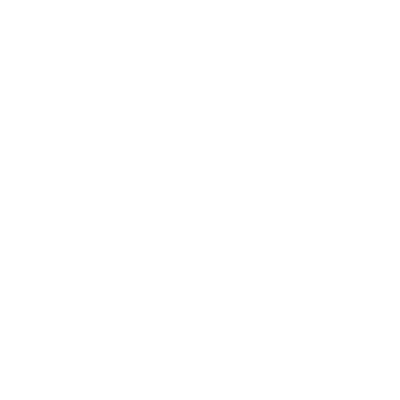 Brick Cleaning