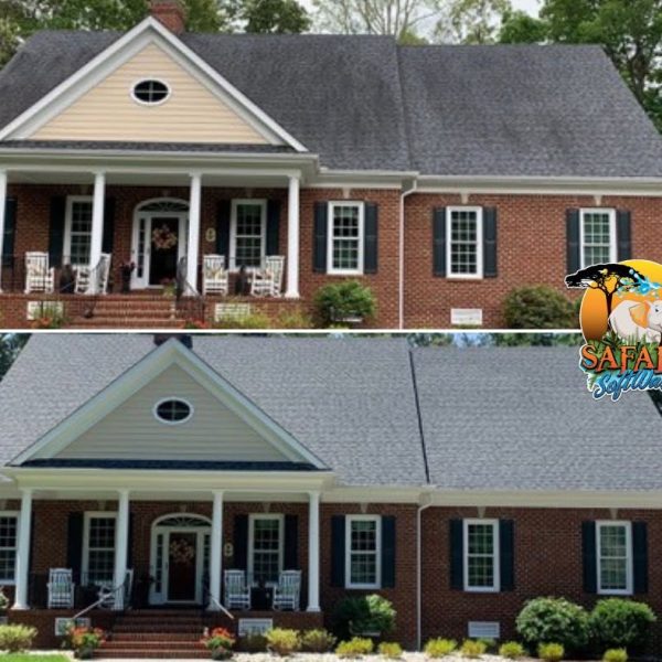 Safari Softwash Power Washing work in Jamestown, VA