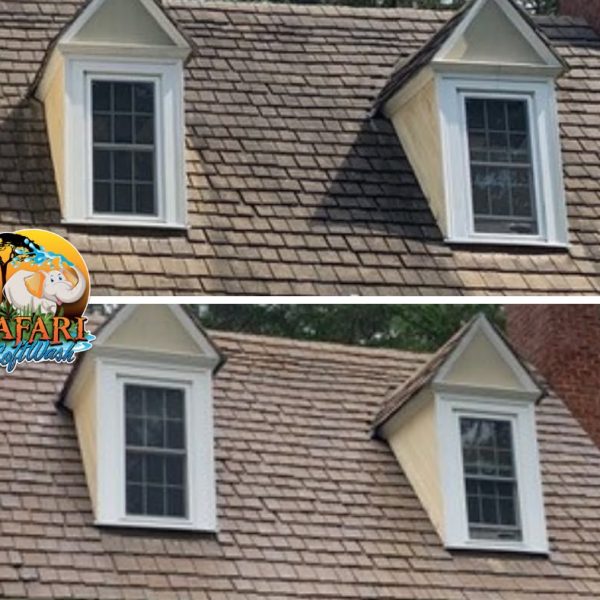 Pressure Washing service completed in Williamsburg, VA