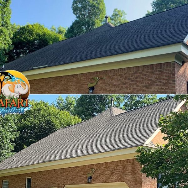 Roof Cleaning work in Williamsburg, VA